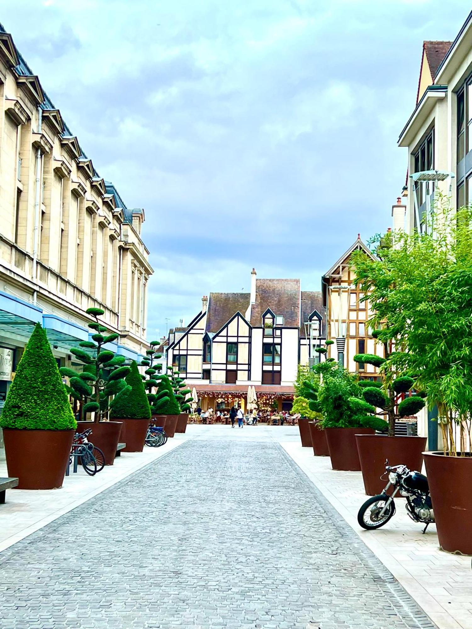 Spa Et Sauna Luxueux Hyper Centre Troyes Exteriér fotografie